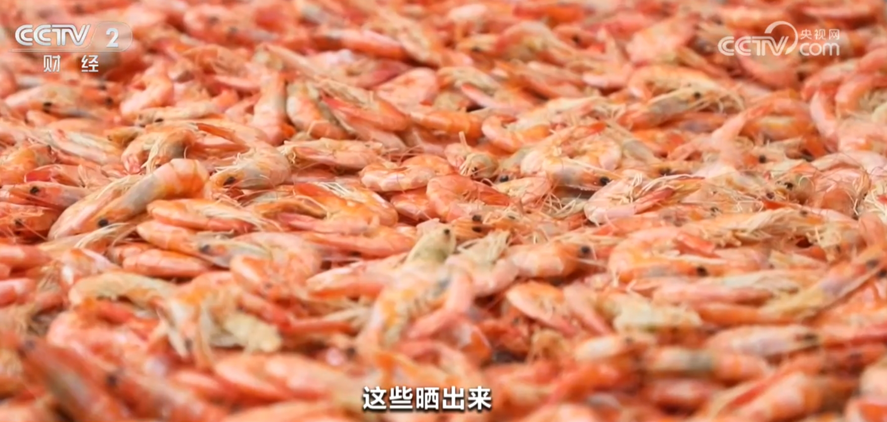 激活乡村振兴“动力源” 活力图景不断涌现凯发K8国际特色产业撑起群众“致富伞”、(图4)