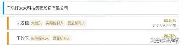 、净利下滑旗下电动晾衣机曾抽查不合格K8凯发登录好太太去年前三季度营收(图8)