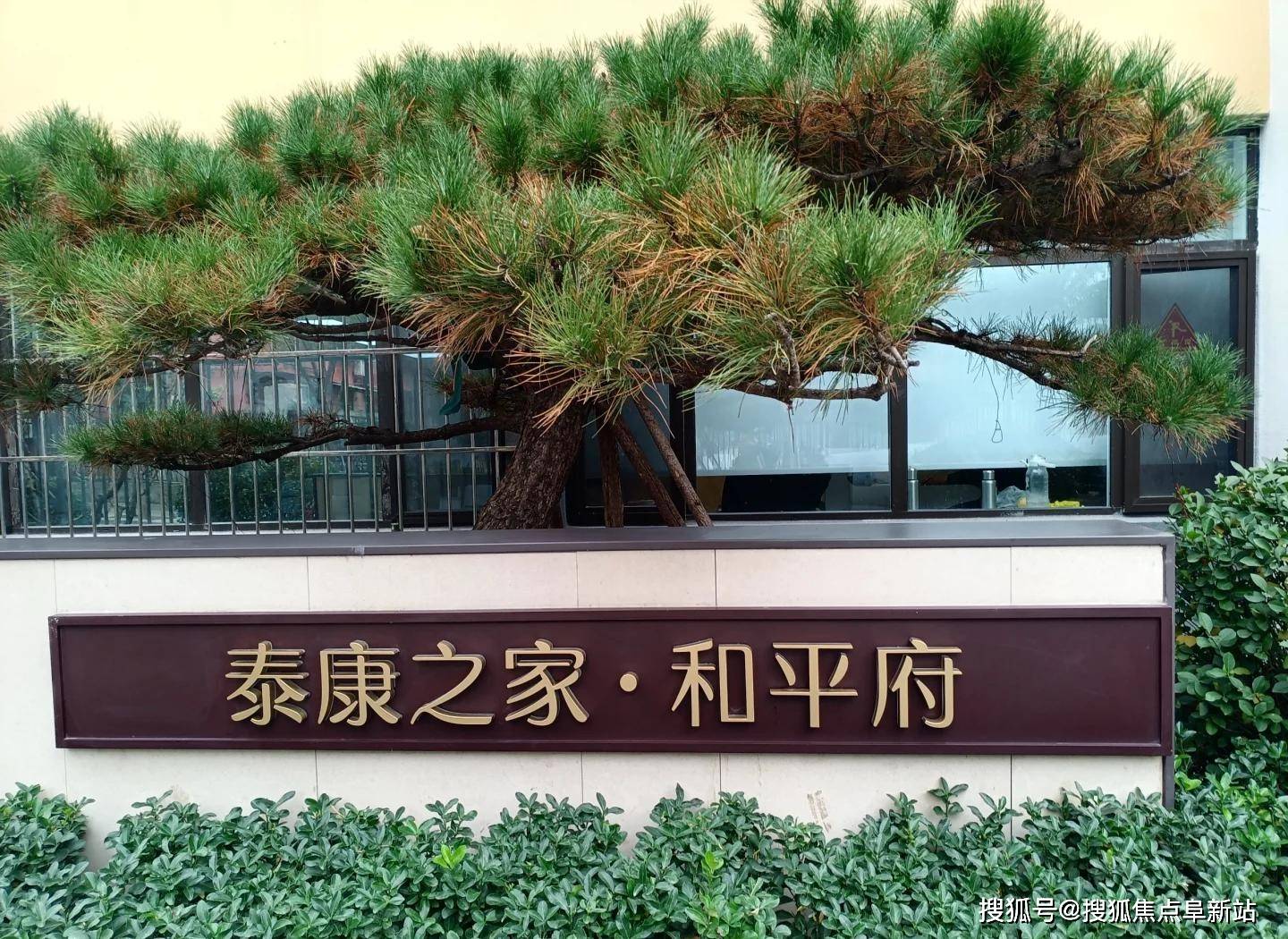 价格热线｜二环畔的医养安心之选泰康之家和平府2025服务解析