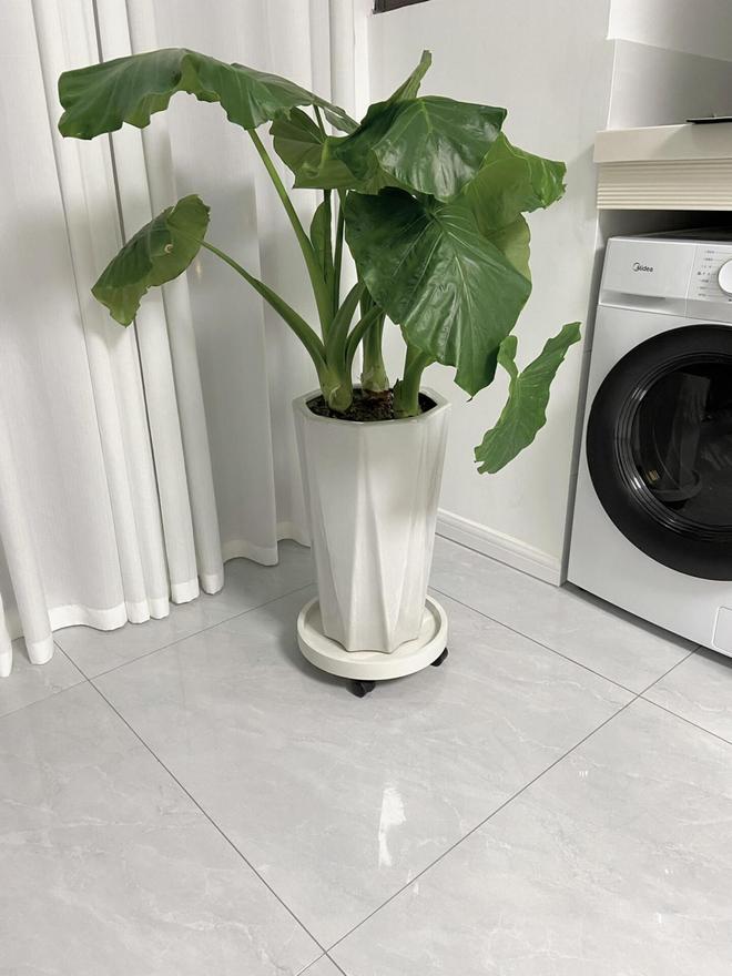 ！几块钱的小东西竟能让生活开挂被老妈买的“便宜货”惊艳到了(图19)